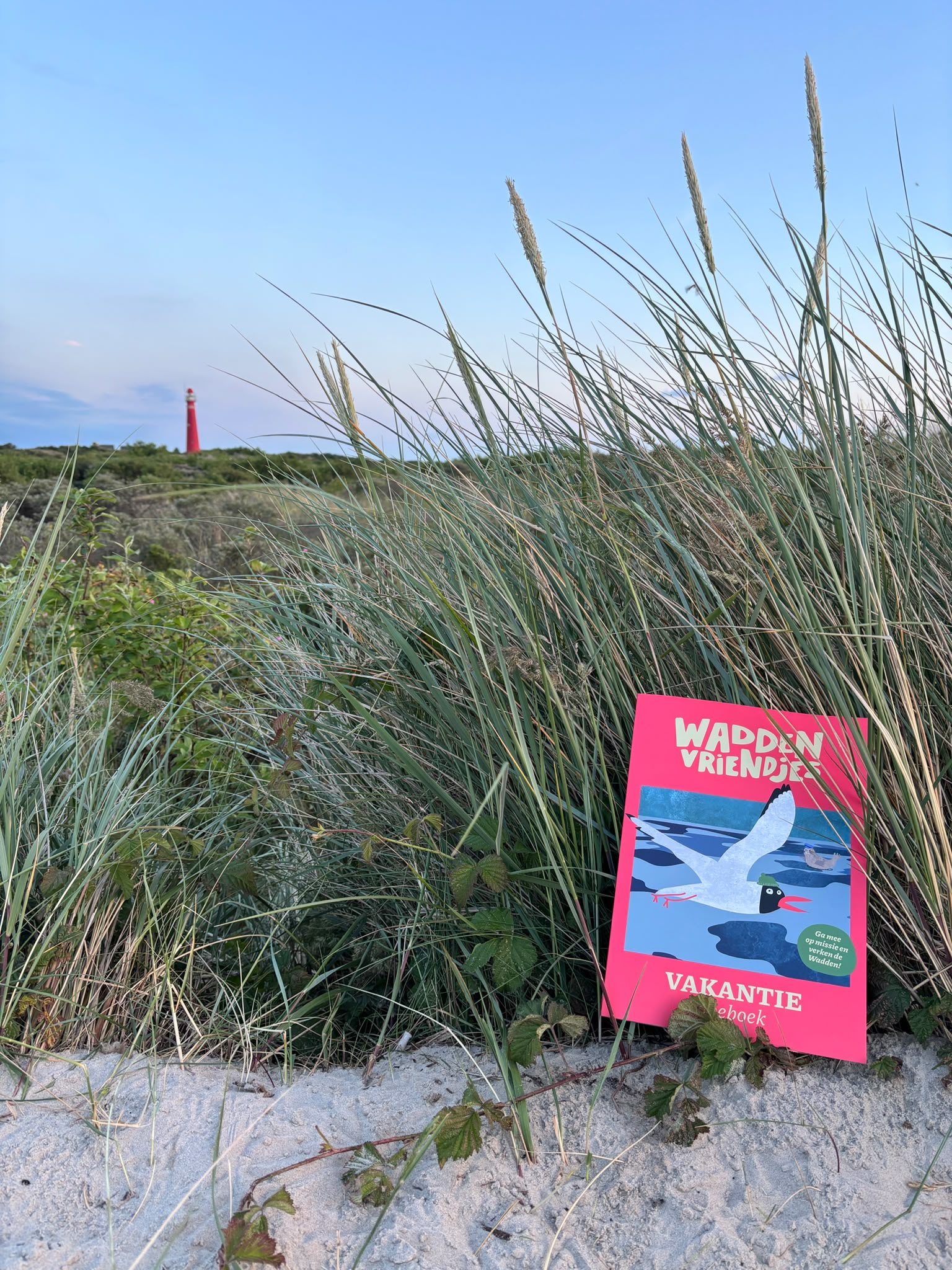 Waddenvriendjes Vakantiedoeboek - Afbeelding 2