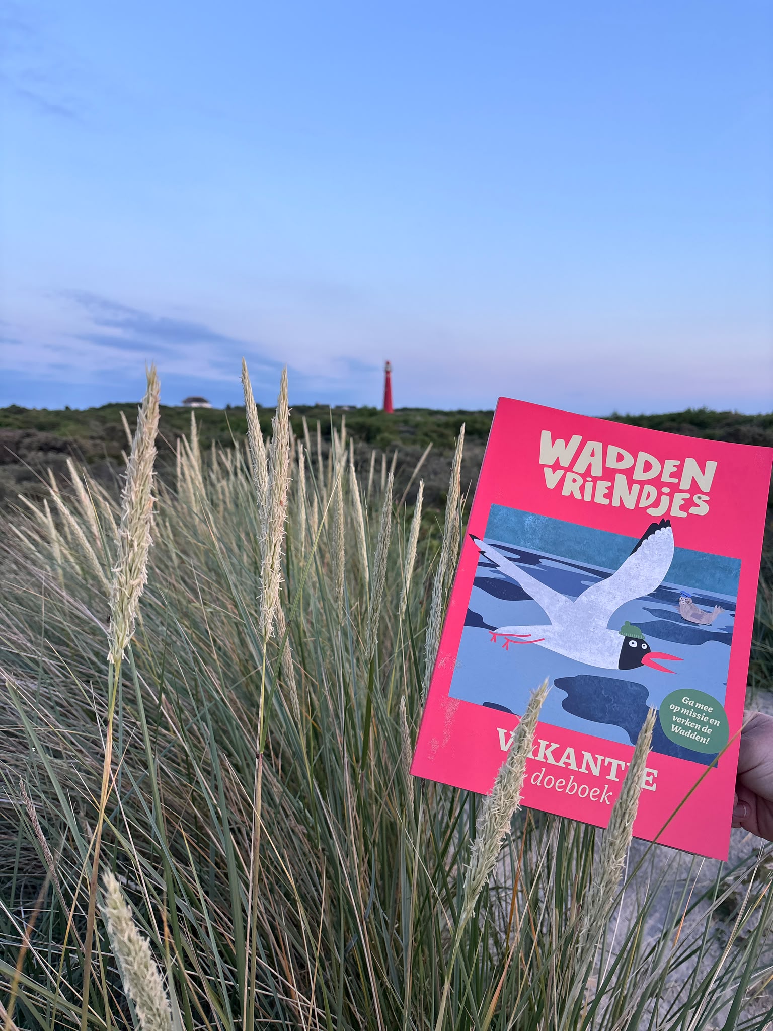 Waddenvriendjes Vakantiedoeboek - Afbeelding 3